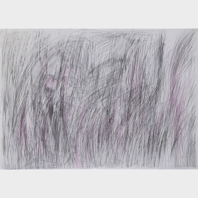 `Iris, Avenue Bergières`, graphit on paper, 50 x 70 cm, 2013